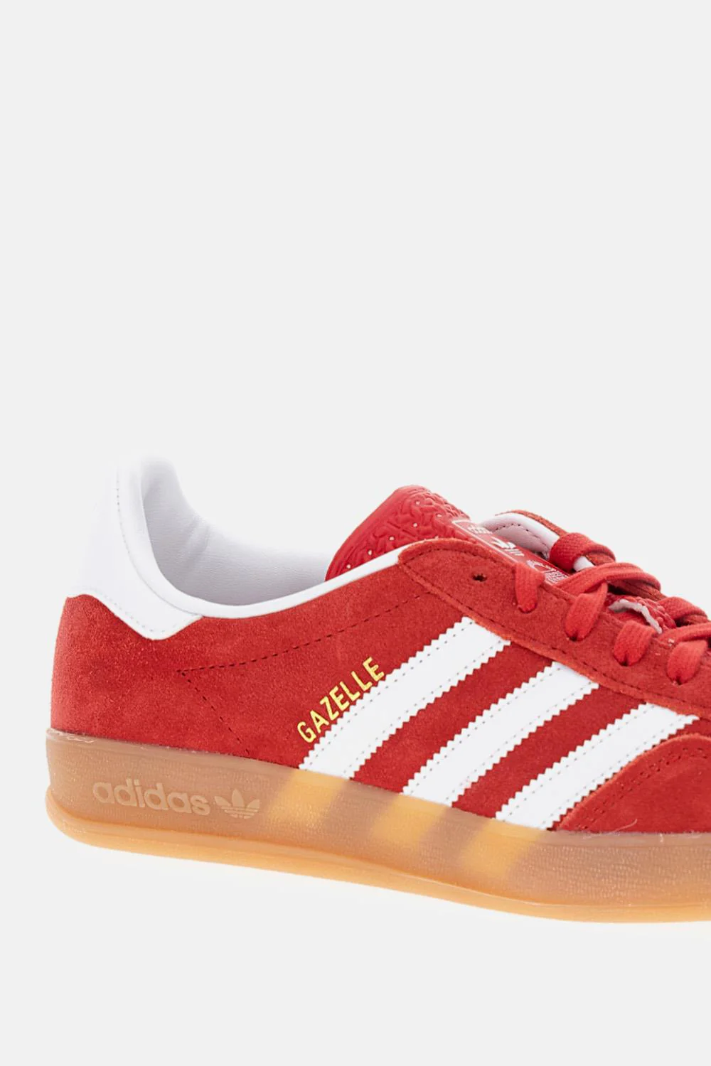 GAZELLE INDOOR - Image 4