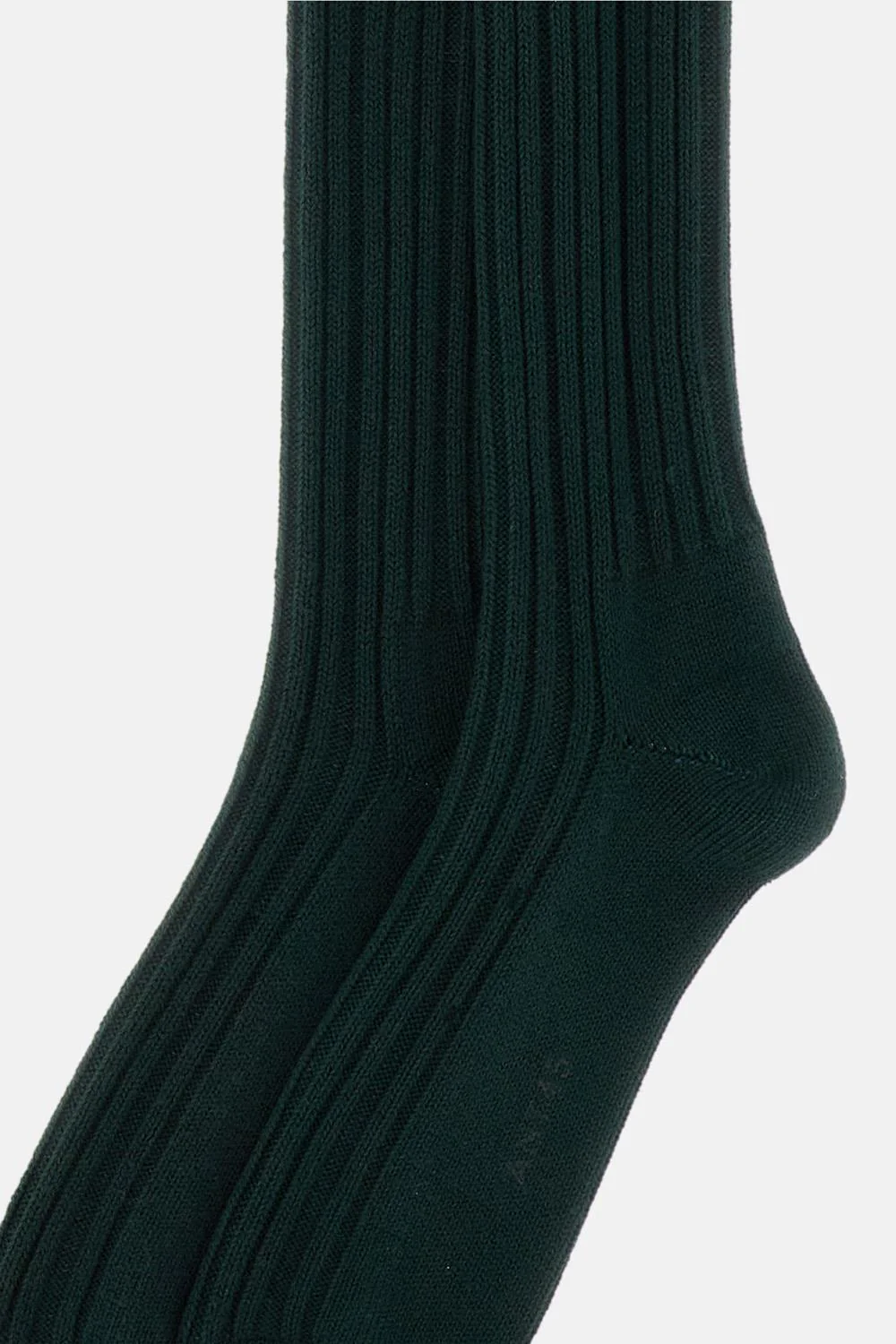 CALZE - Image 2