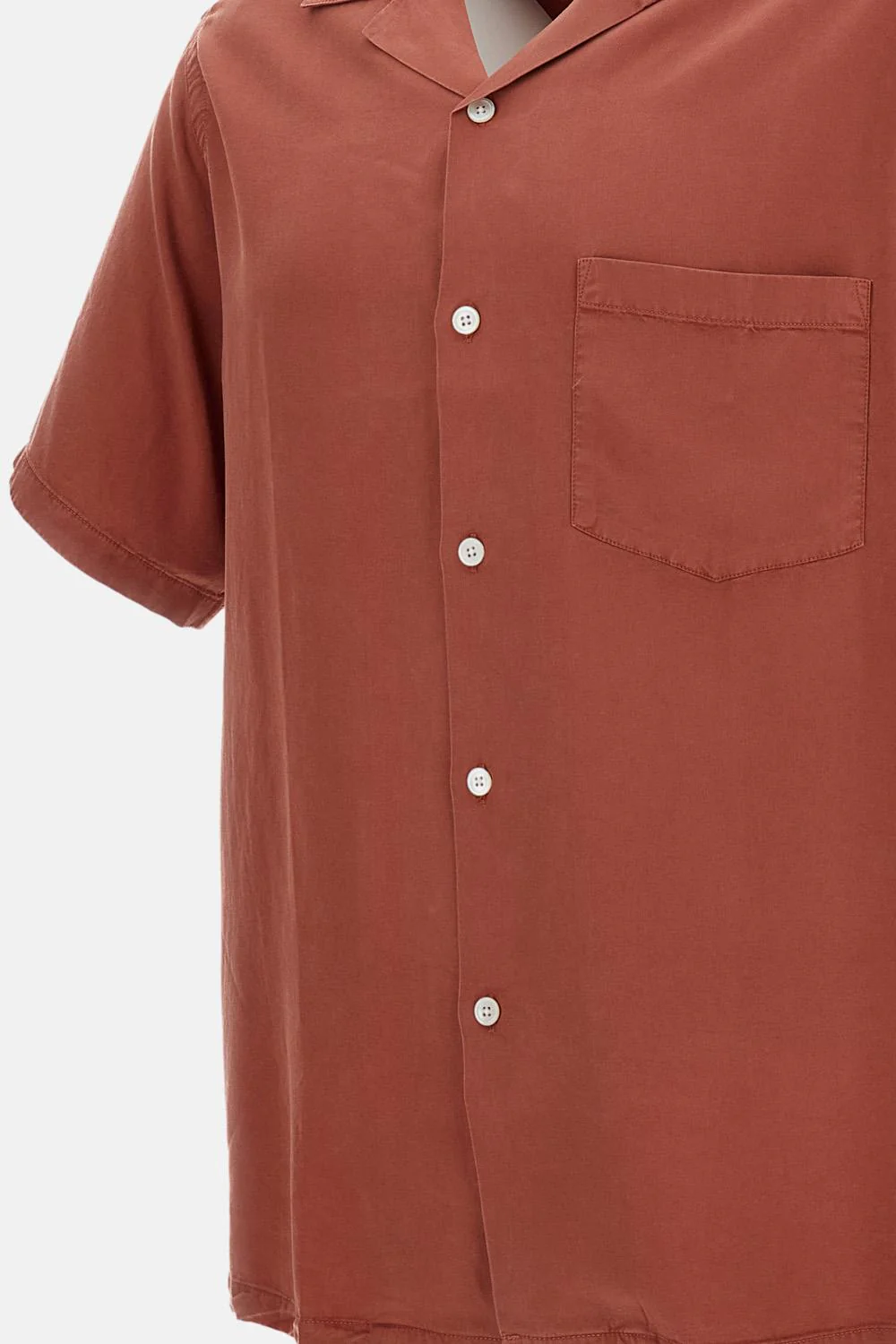 CAMICIA DOGTOWN TERRACOTTA - Image 3