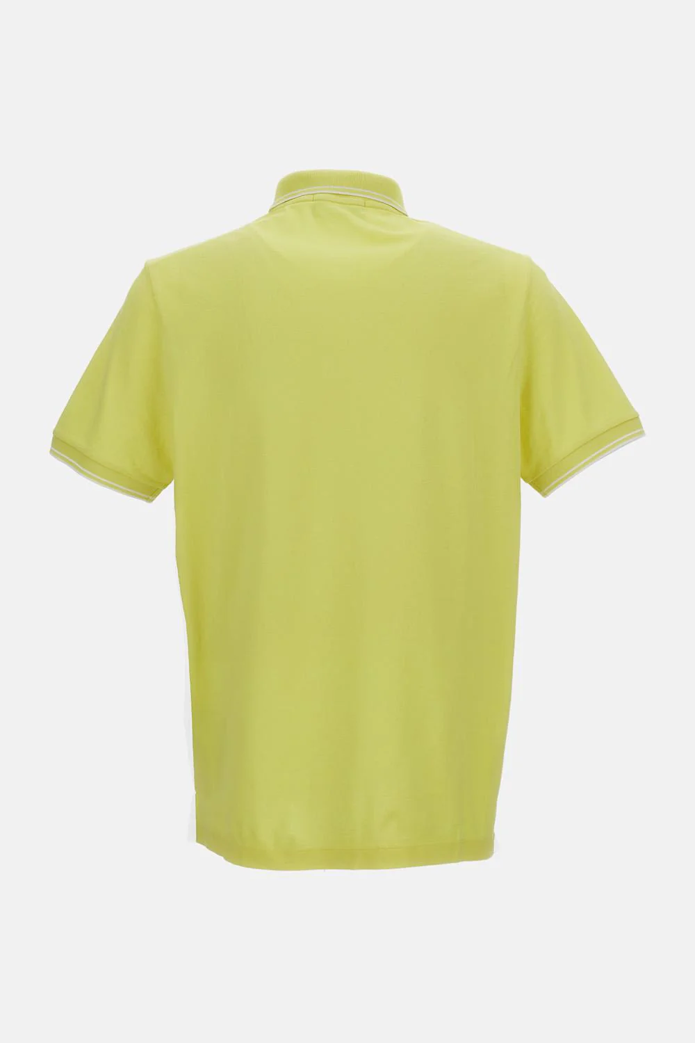 POLO - Image 2