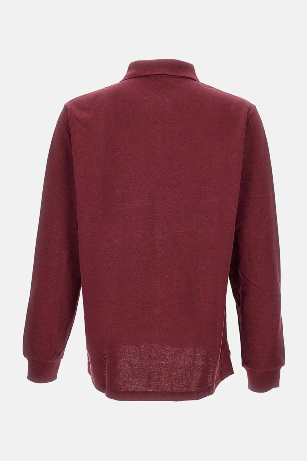 POLO - Image 2